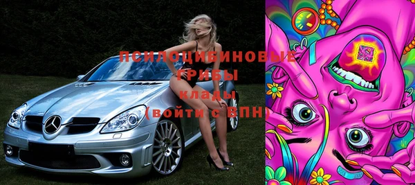 шишки Вязьма