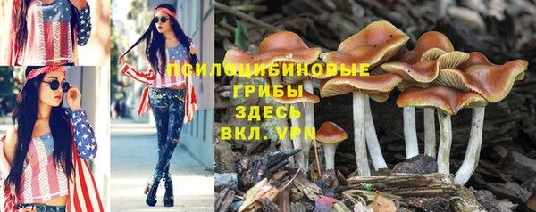 дурь Вязники