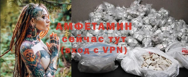 шишки Вязьма