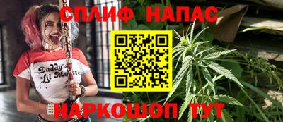 СК Беслан